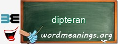 WordMeaning blackboard for dipteran